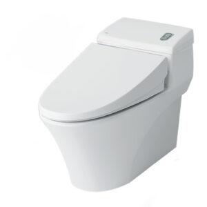 Top 5 Mẫu Bồn Cầu 1 Khối Inax Giá Tốt Nhất Hiện Nay 9 Bồn cầu 1 khối Inax AC-1008VRN