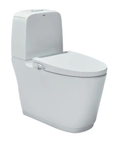 Bồn cầu nắp rửa cơ AC-832/CW-S32VN
