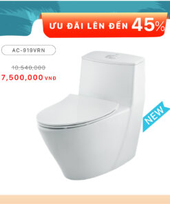 Alternative view of Combo Bồn cầu 1 Khối Inax AC-919VRN Giá tốt nhất